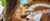 The Guiding Elements | Holistic elements | Online Ayurvedic Store